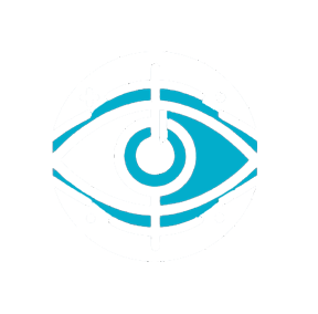 vision4